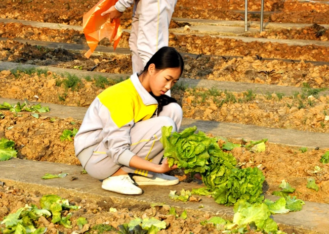 494949免费资料库